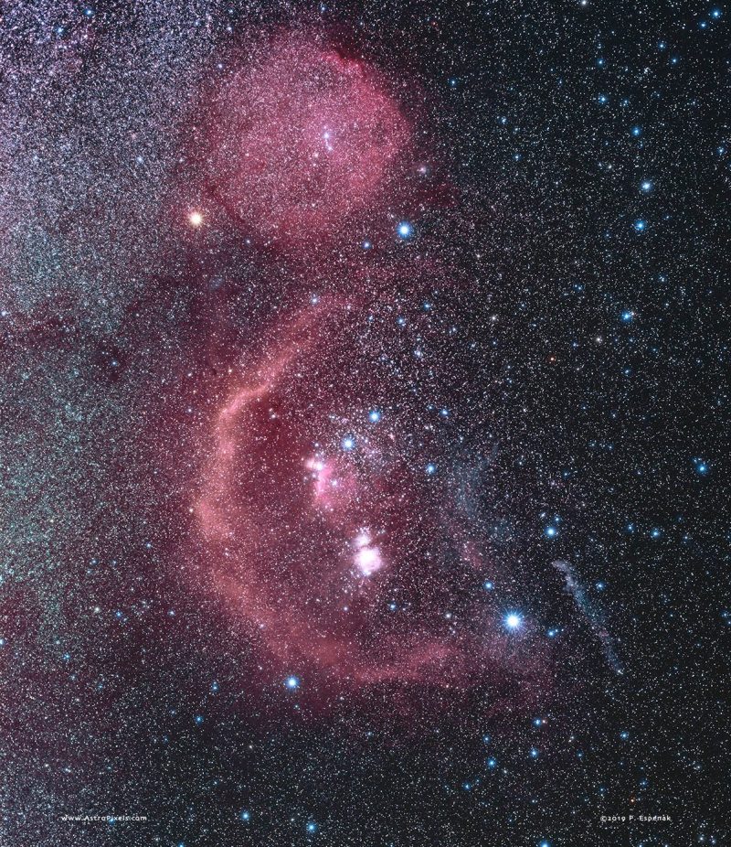 Large, swirled pink blobs on a very starry black background.