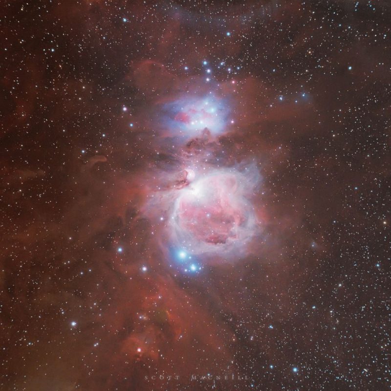 Orion Nebula: A pink and red cloud in space with bright blue stars in it.