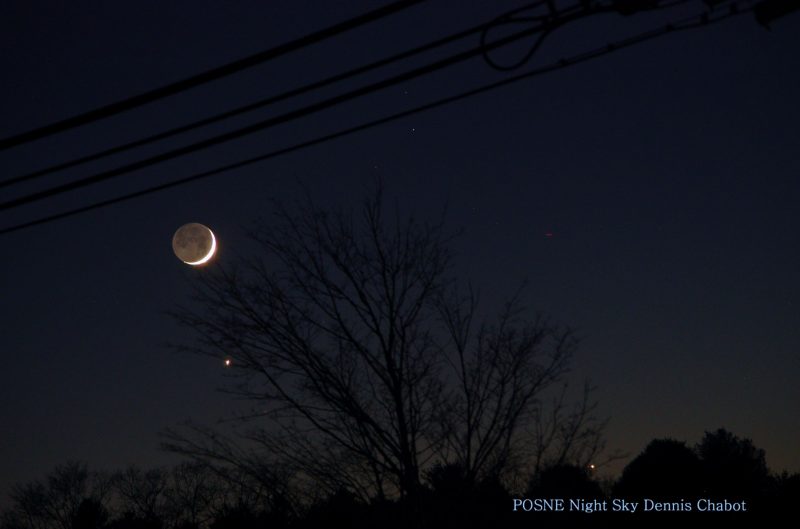 Moon and Venus above the treetops.