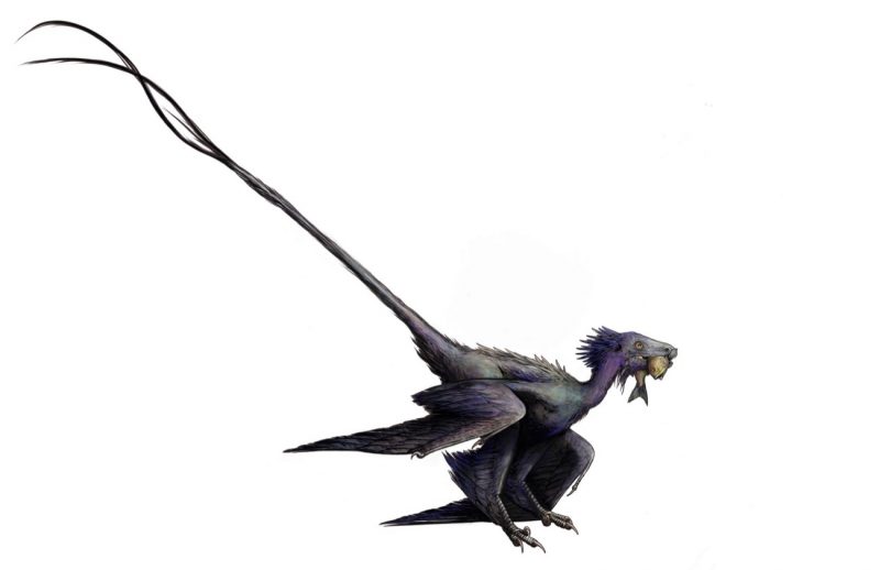 Two-legged dragon-like creature with with feathered wings and a long tail.