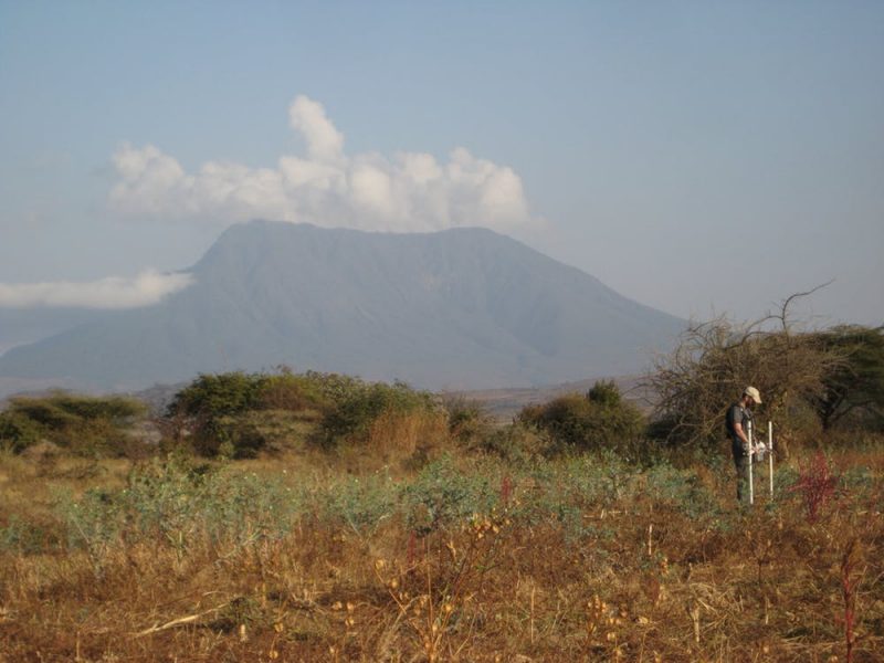 Brownish field with a mountain in the background and a scientist with two white rods.