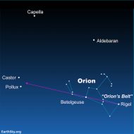 Meet Pollux: The brighter twin star of Gemini