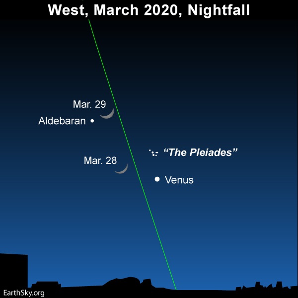 Sky chart showing the moon near Venus and the Pleiades on March 28 and 29, 2020.
