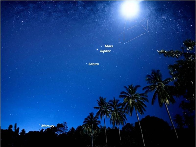 Moon and 4 planets above coconut trees.