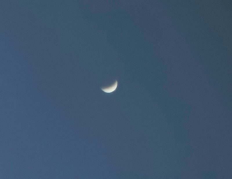 Small white crescent in blue sky.