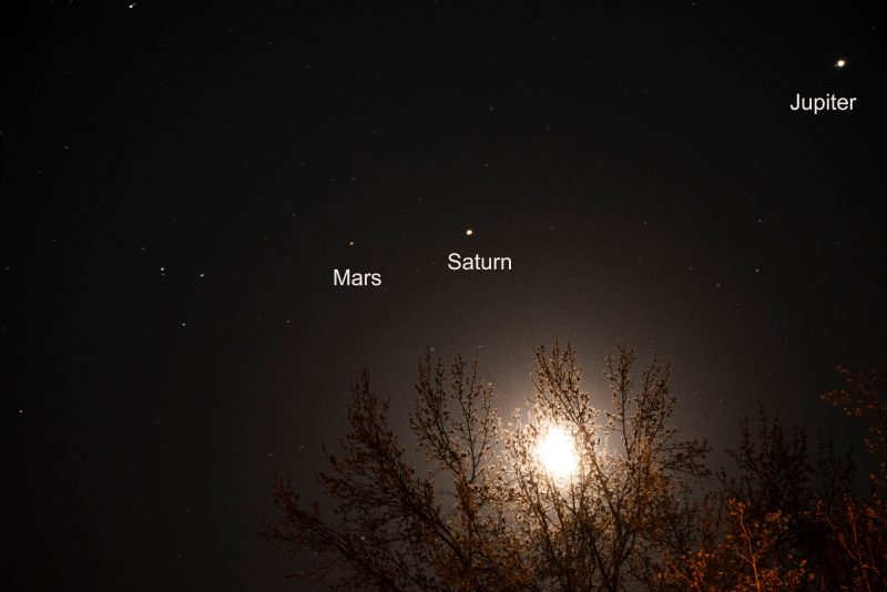 Moon through treetops and 3 labeled planets before sunup on April 15.