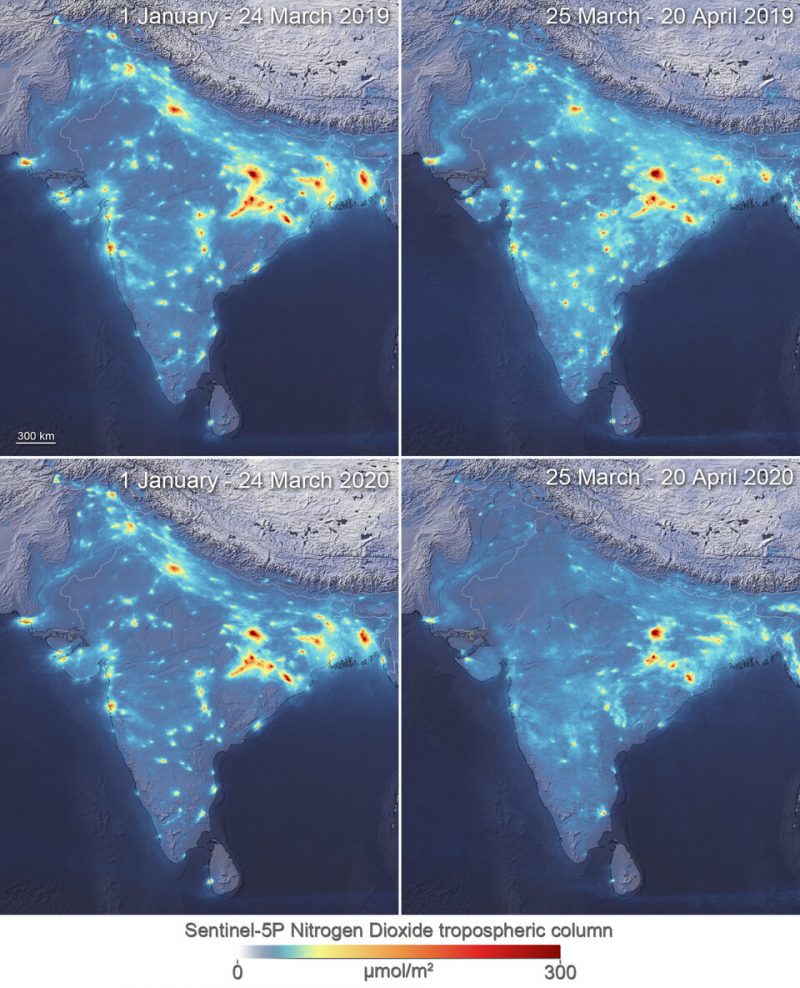 Four maps of India with red and yellow splotches lessening in extent.