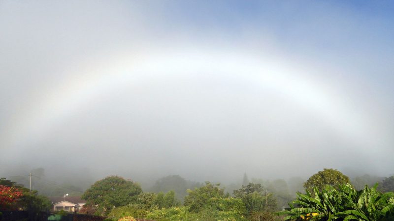 White fogbow in misty air over a wooded landscape.