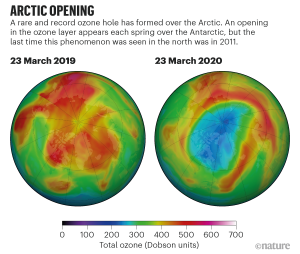 Two false color images of globe viewed from north. No ozone hole in March 2019; a large ozone hole in March 2020.