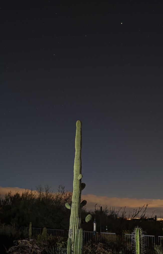 Saturn, Mars, Jupiter before sunup, behind a saguaro cactus.