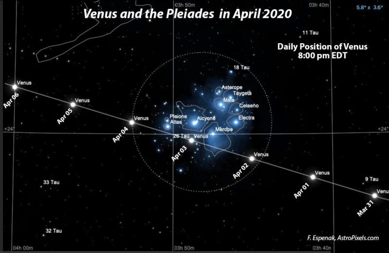Diagram with cluster of bright stars in the middle and several positions of Venus labeled with dates.