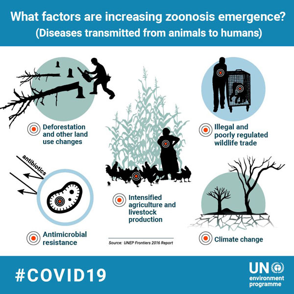 Diagram with small pictures representing five factors including agriculture and climate change.