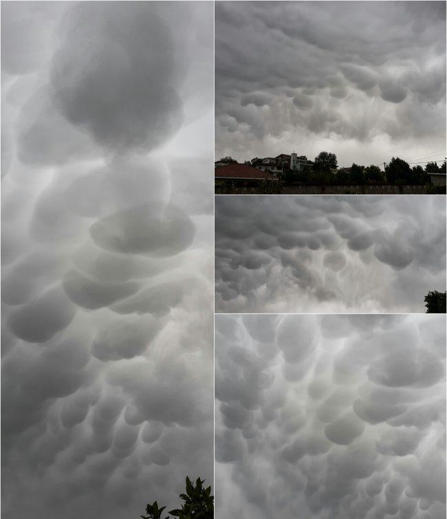 Three images of gray clouds with many downward bulges.