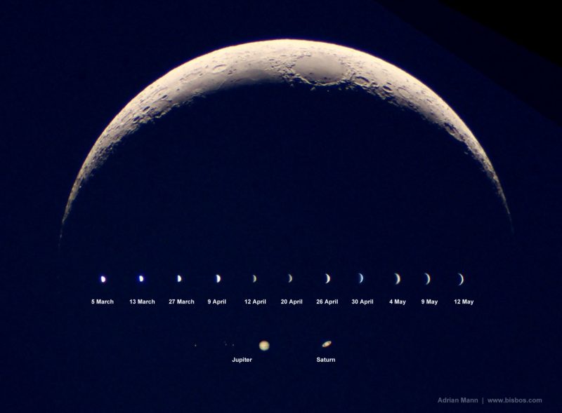 Crescent moon and several phases of Venus.