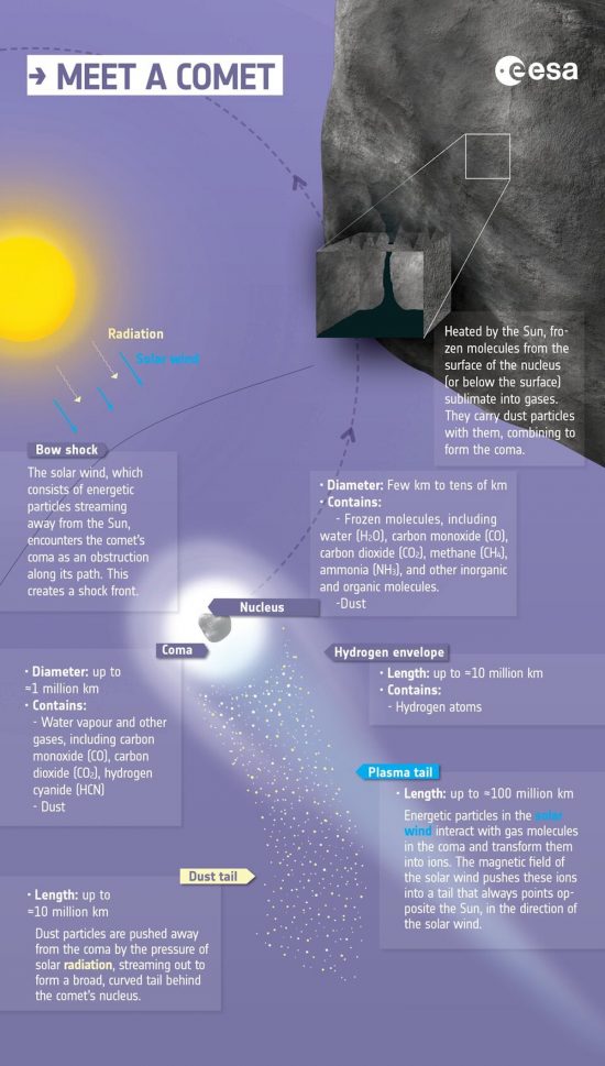 Chart showing closeup of a comet with insets of its components.