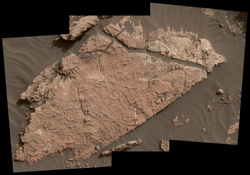 Brownish rock covered in tiny cracks, surrounded by brownish sand.