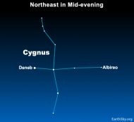 Deneb, tail of Cygnus the Swan | Tonight | EarthSky