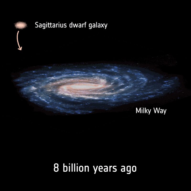 Animated diagram of small oval galaxy orbiting around and through large spiral galaxy.