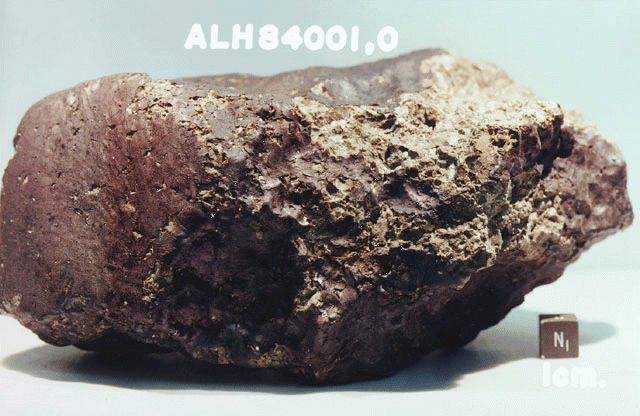 A dark-colored, rough-surfaced potato-shaped rock with a small black cube beside it.