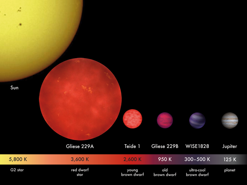 Artist's concept of stars of different sizes and masses, labeled.