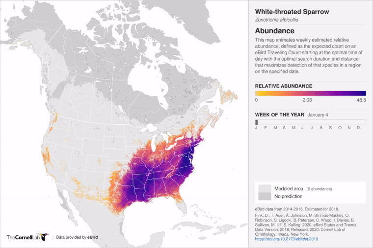 Animated map of U.S. and Canada showing areas where birds are across a years time.