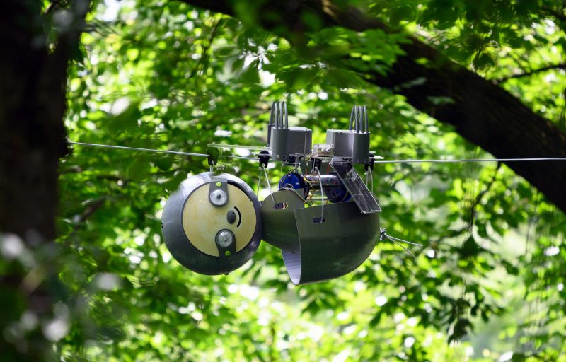 Robot with round 'head' and body suspended from a cable running between trees against a leafy background.