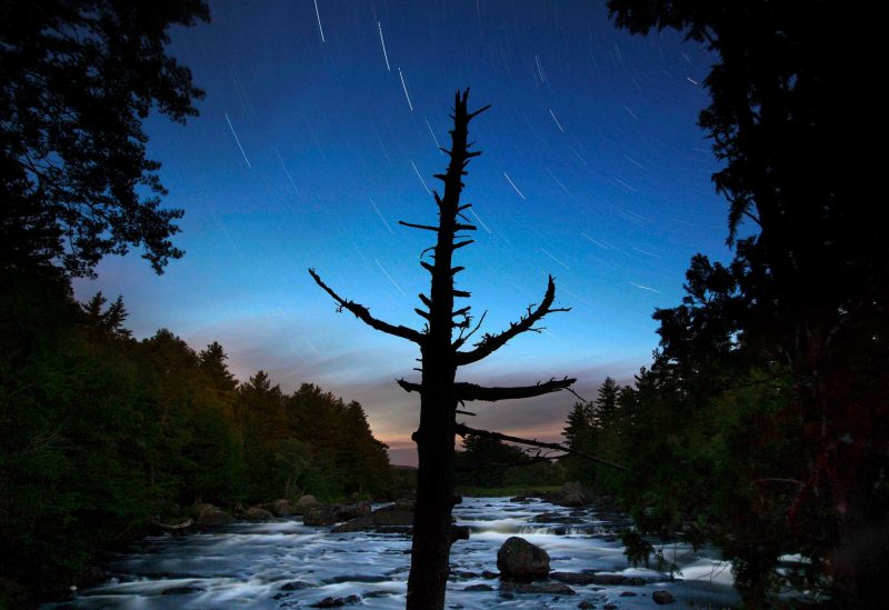 Silhouette of a dead tree by a rushing brook under a medium blue sky with short star trails.