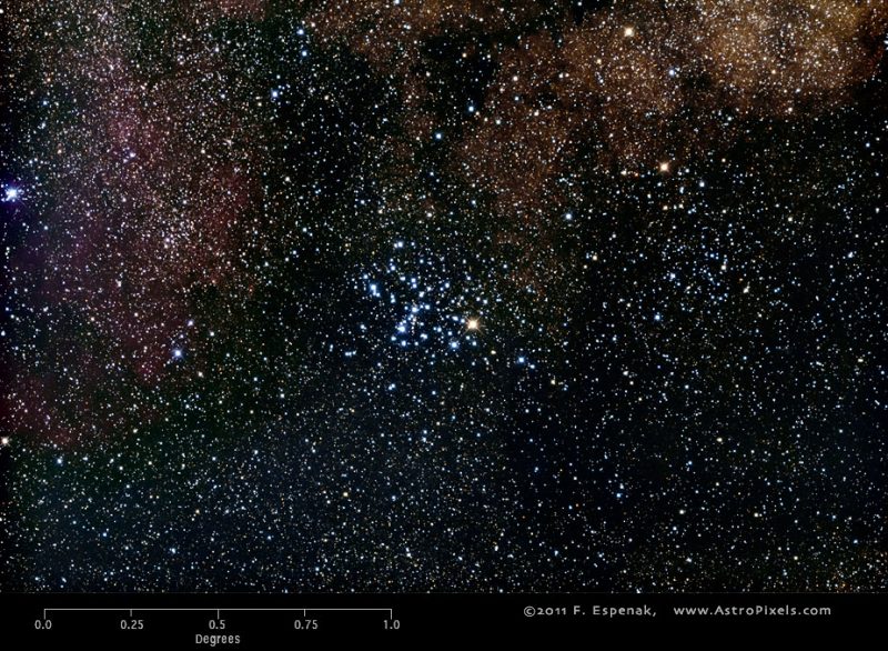 A tight grouping of mostly blue-white stars against dense field of fainter stars.