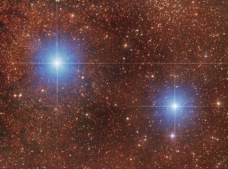 Two brilliant blue-white stars in a field of extremely many fainter reddish stars.