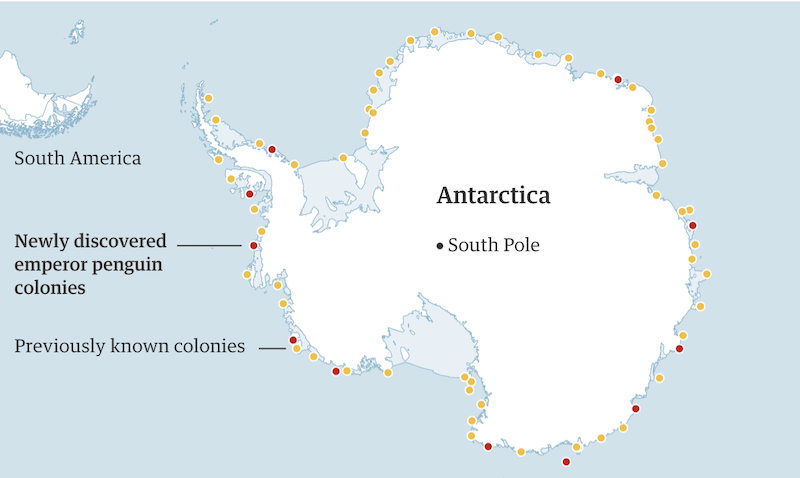 Map of Antarctica with many yellow and about 10 red dots around the margin, representing known and newly discovered colonies respectively.