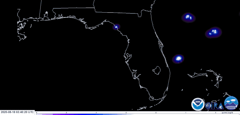 Outline map of southeastern U.S. with very many short-lived blue flashes especially on Florida's west coast.