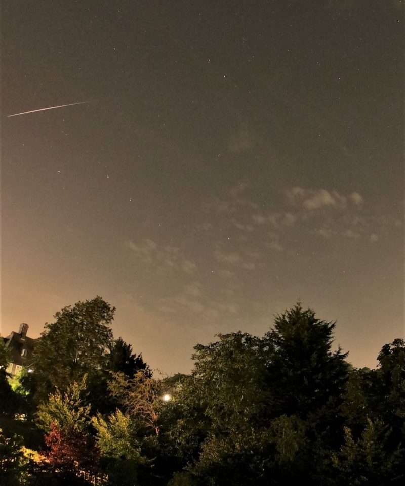 Meteor streaking above a treeline.