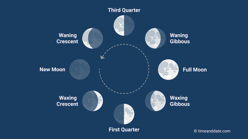 Quarter Moon Or A Half Moon Moon Phases EarthSky