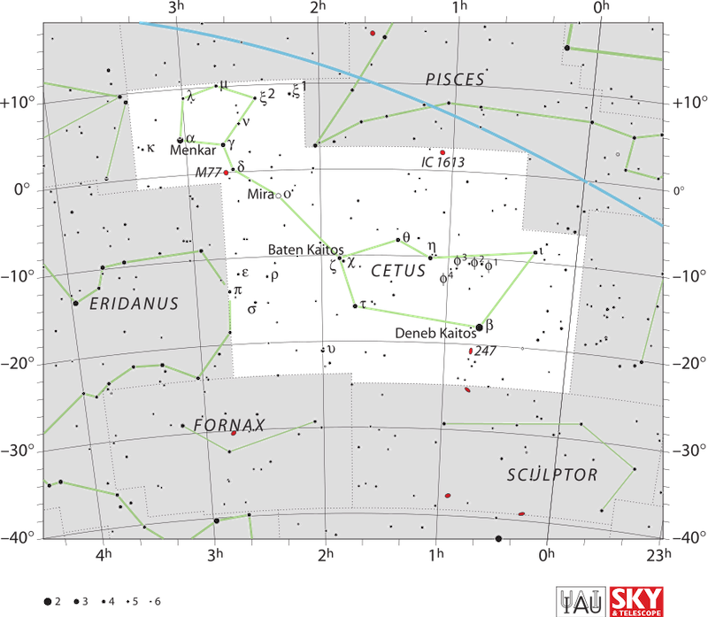 A detailed star chart of the constellation Cetus, with stars marked in black against a white background, and green lines connection the stars in Cetus. 