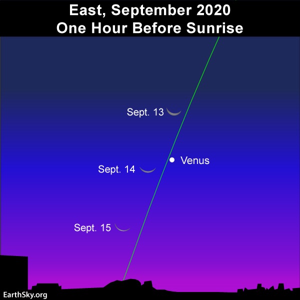 Moon and Venus adorn eastern sky before sunrise September 13, 14 and 15, 2020.