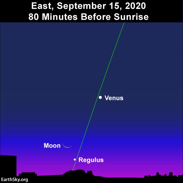 Very thin waning crescent moon and star Regulus below Venus near almost vertical line of ecliptic.