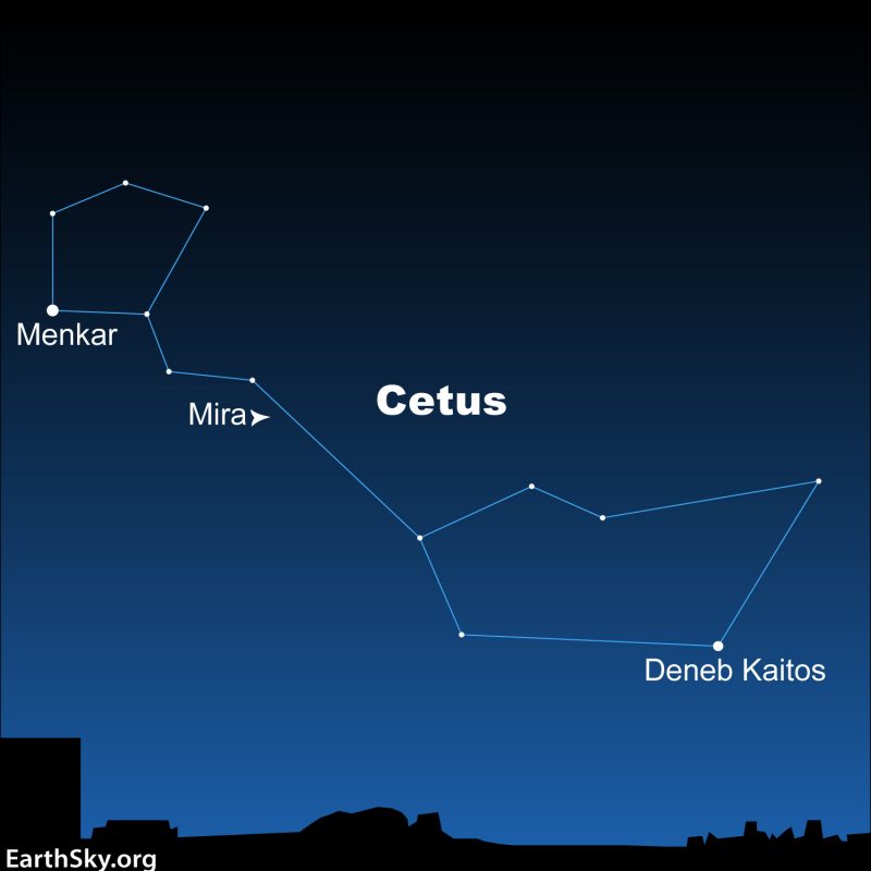 Star chart showing the constellation Cetus the Whale. An arrow points to Mira's place in the sky.