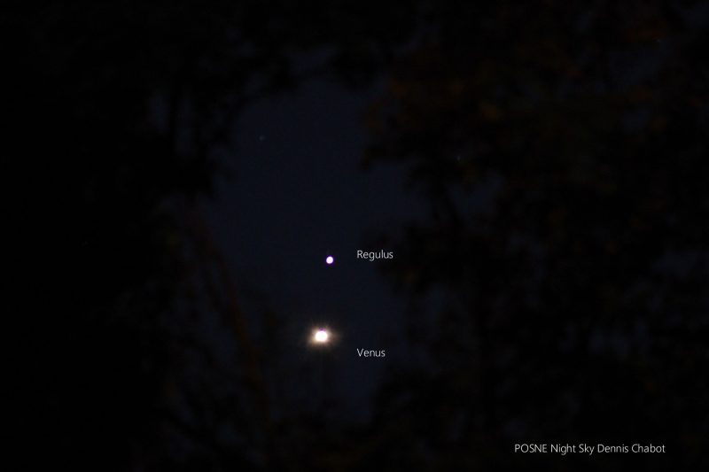 Two dots, the brighter one labeled Venus and the other Regulus.