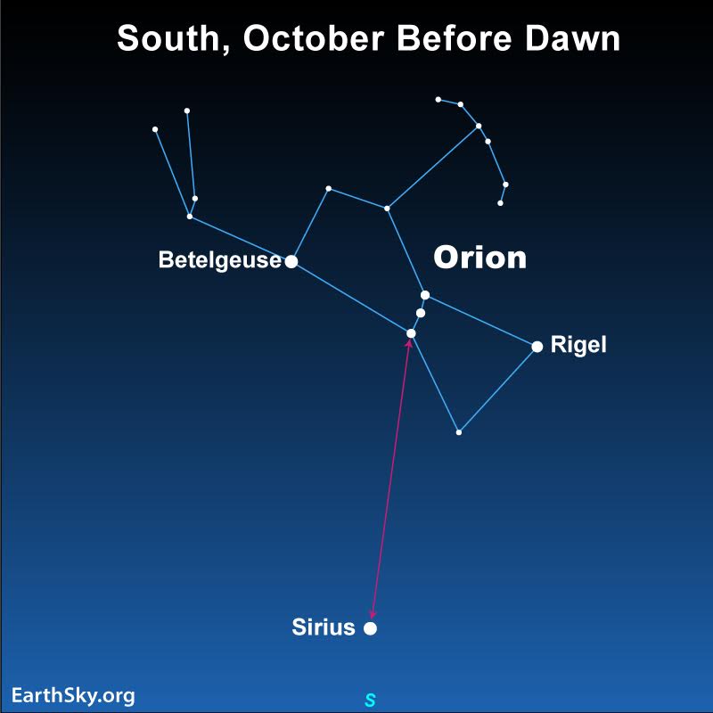 Brightest star, Sirius: Star chart with Orion, arrow from 3-star Belt to lone star Sirius below.