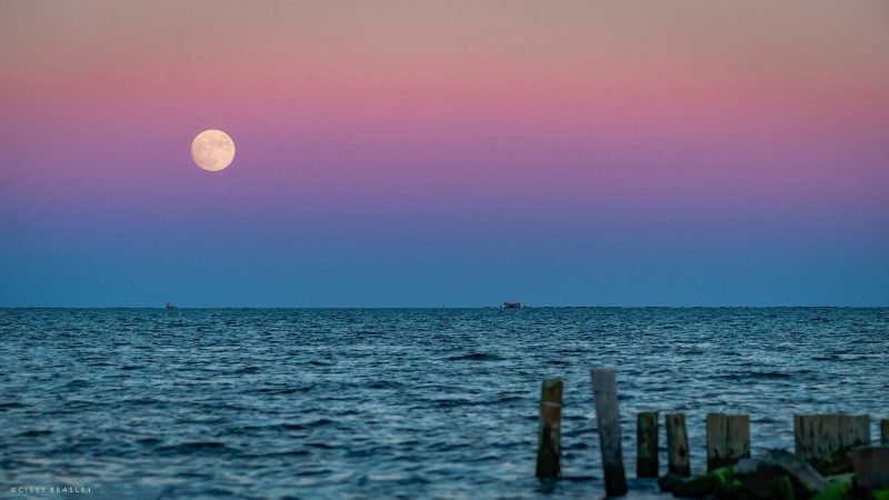 Nearly full moon rising in blue and pink horizontally striped sky over deep blue water.