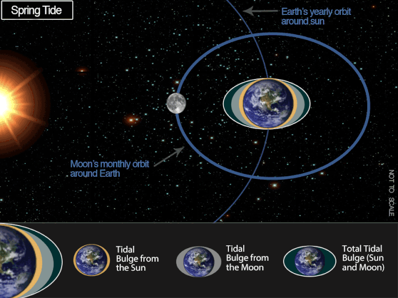 Animated diagram showing the orbit of the moon around Earth, and its effect on the tides.