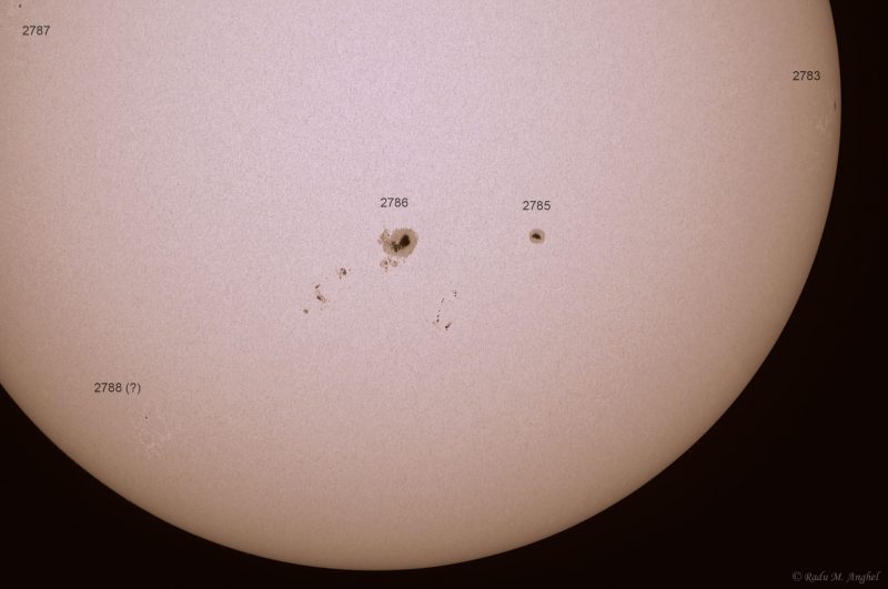 Sunspots scattered over the surface of the sun.
