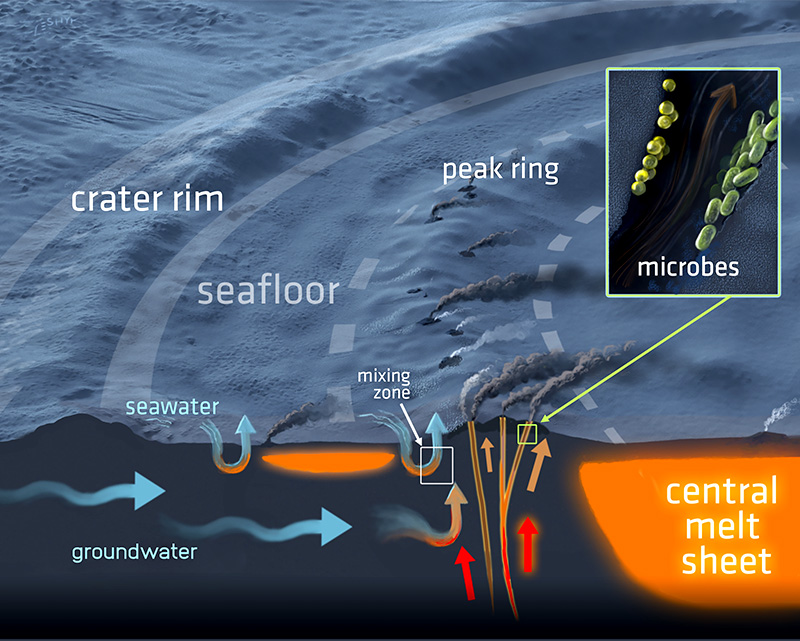 Cross-section of seafloor with raised ridges, arrows indicating water flow, and labels.