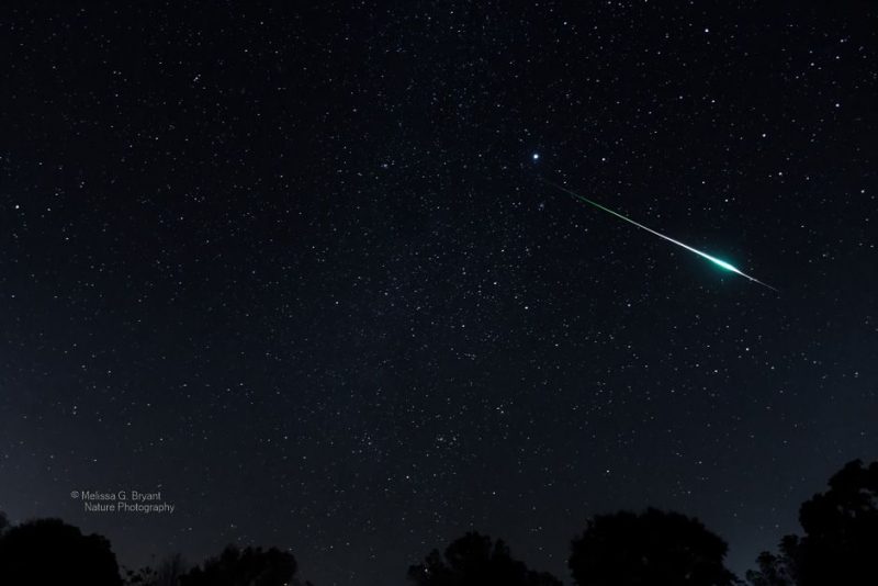 A Leonid meteor flashes across the sky over Bowman, Georgia.