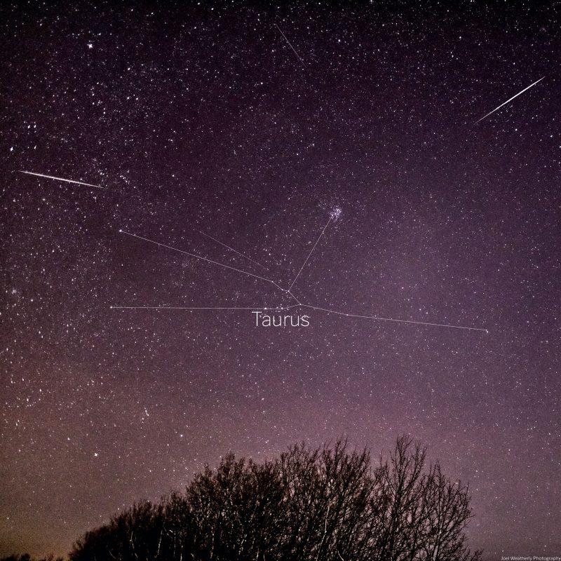 Composite image showing constellation Taurus and several meteors radiating from it.
