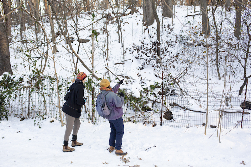 Two birders wearing masks and holding binoculars look for birds in a snowy area.