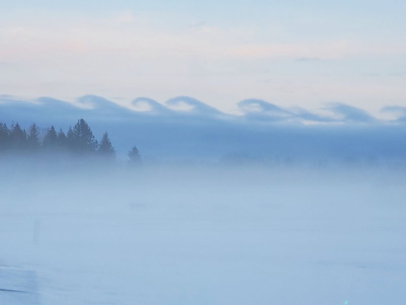 Wavelike clouds in shades of blue with fog in front and evergreens sticking out at one side.