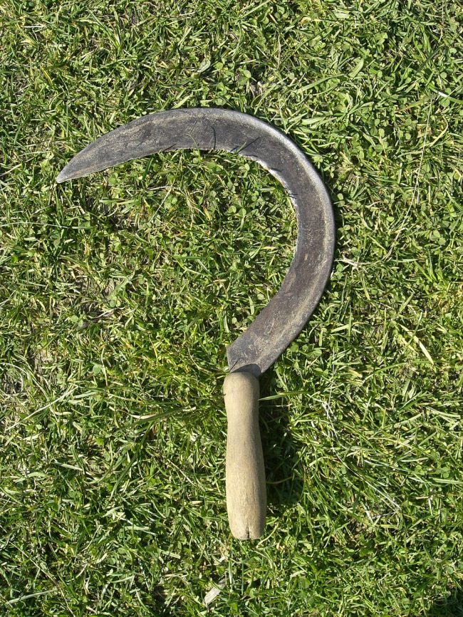 Metal semicircle, sharp on the inside, with a wooden handle, lying on grass.
