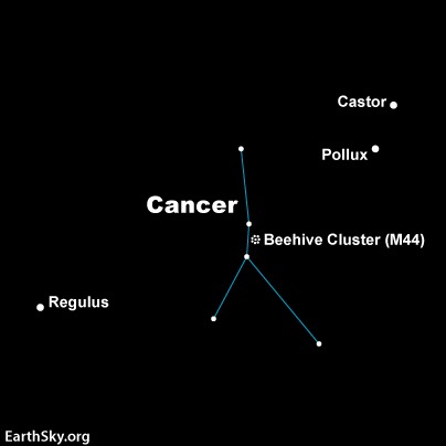 Star chart showing constellation Cancer, several labeled stars, and the Beehive cluster.
