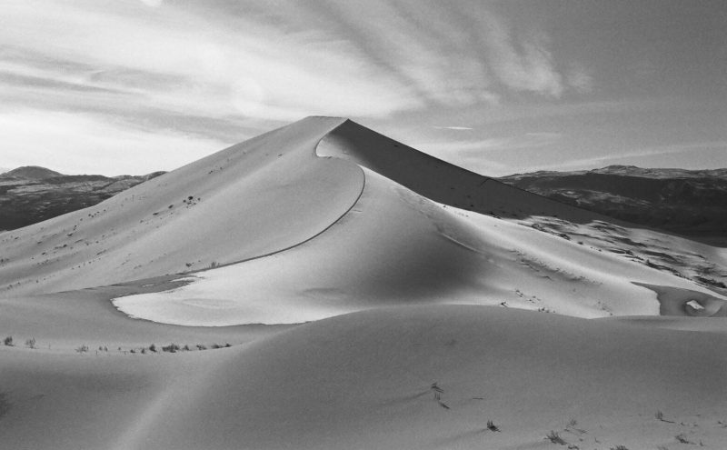 Swooping desert sand dune with dark line along the curved top. Black and white photo.